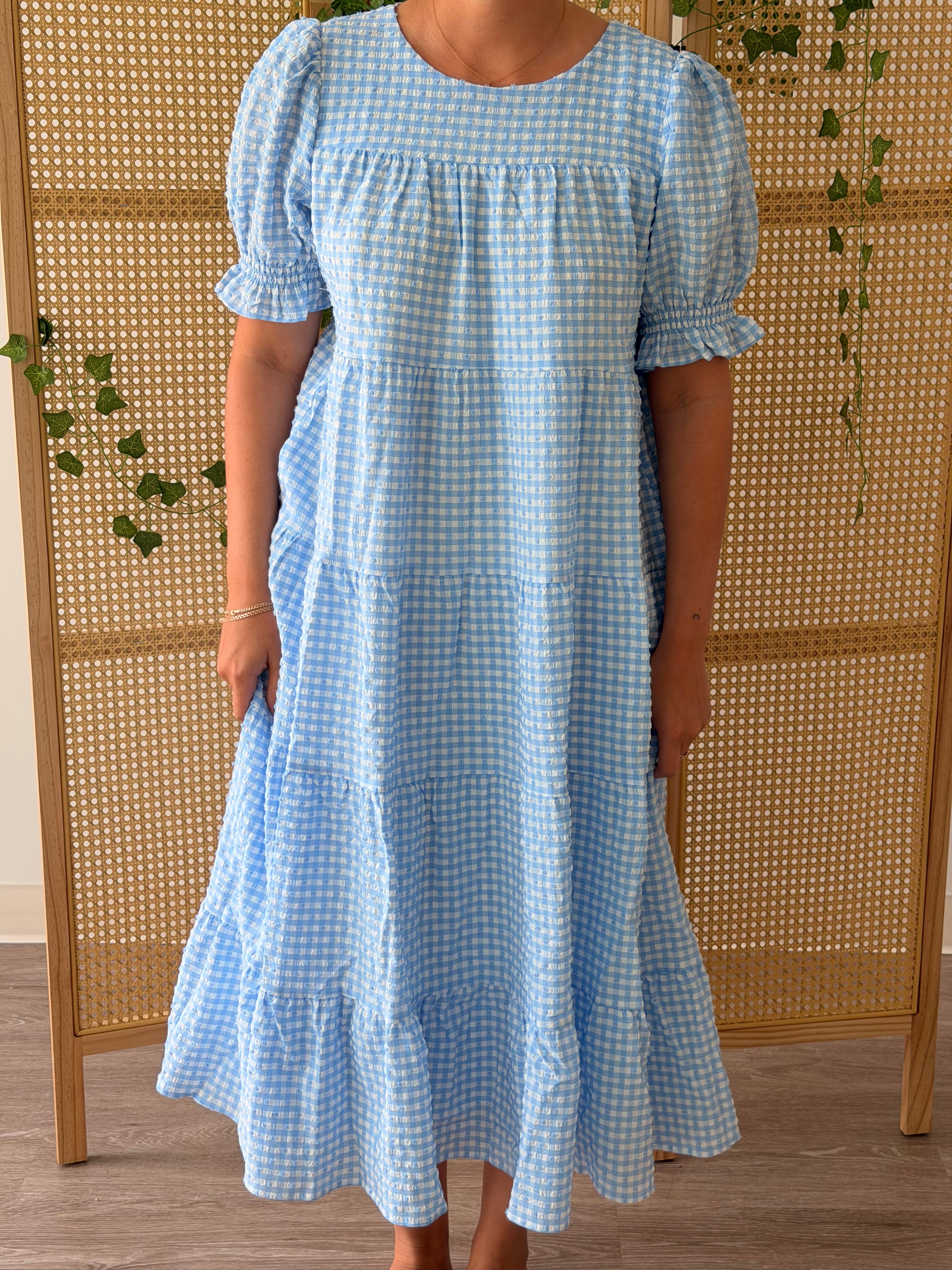 Baby Blues Gingham Dress