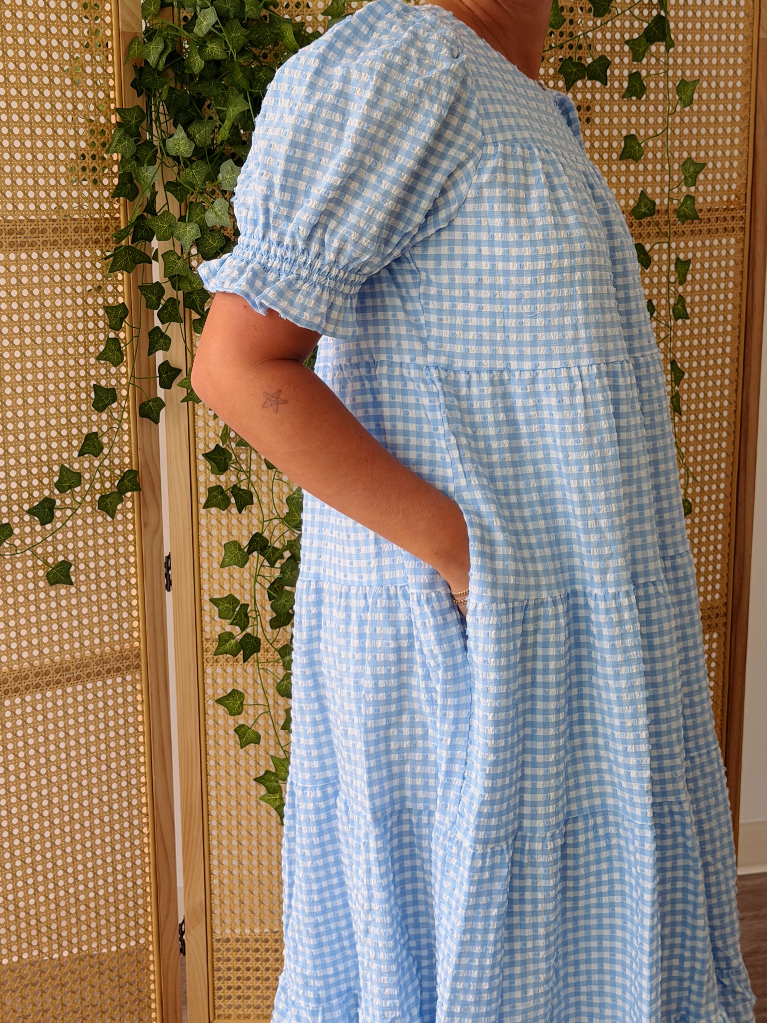 Baby Blues Gingham Dress