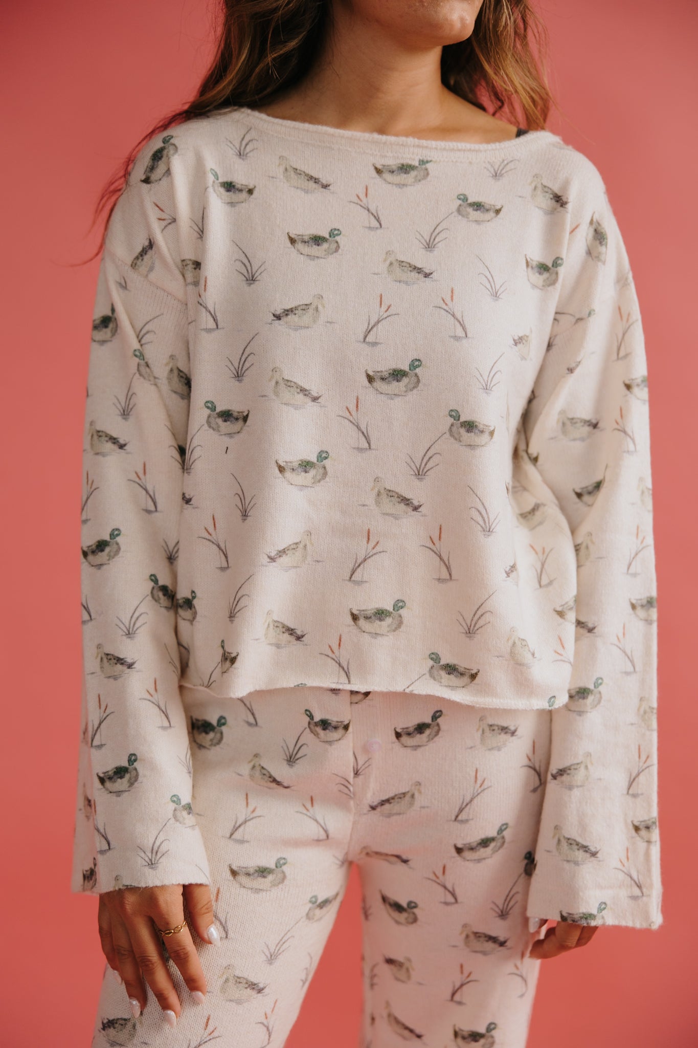 Mallard Duck Soft Set