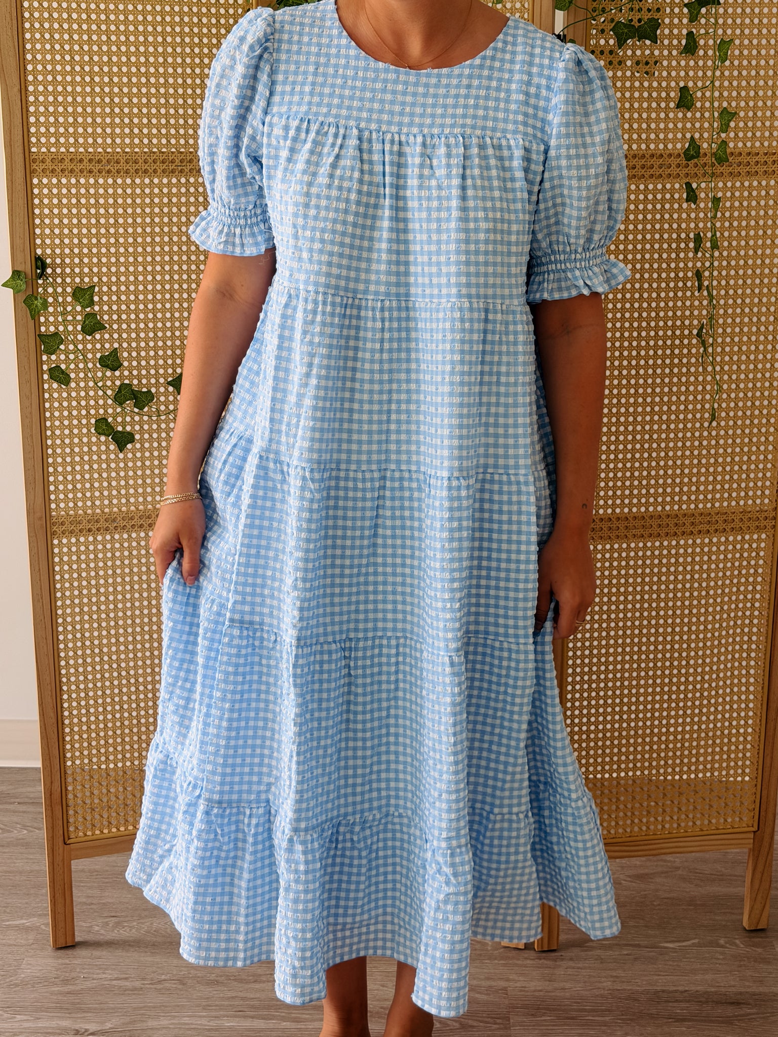 Baby Blues Gingham Dress
